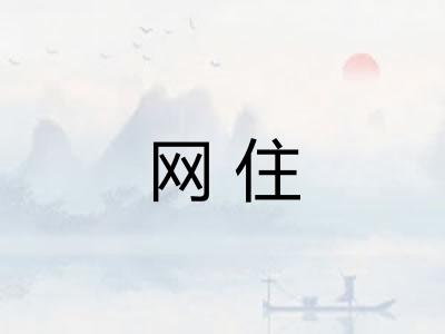 网住