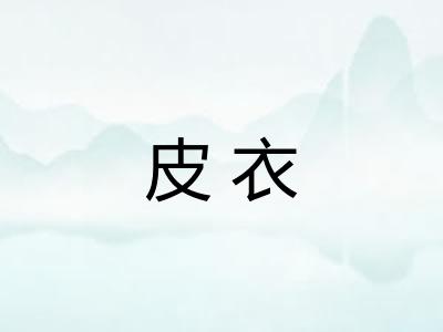 皮衣