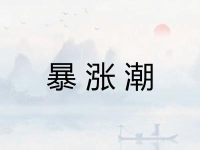 暴涨潮