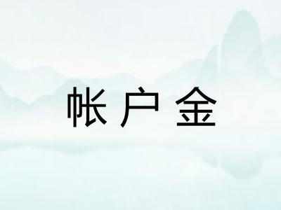 帐户金