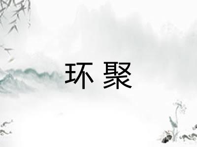 环聚