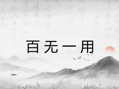 百无一用