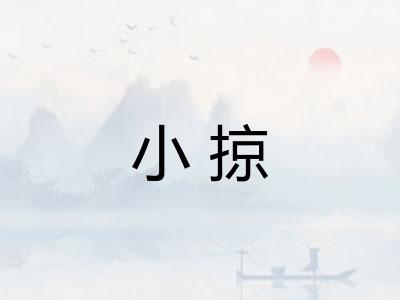 小掠