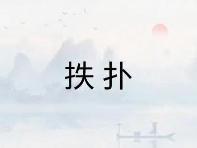 抶扑