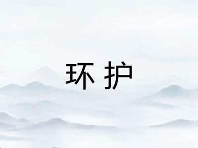 环护