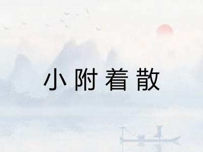 小附着散