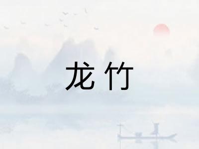 龙竹