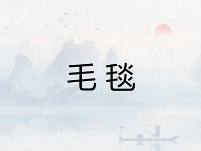 毛毯