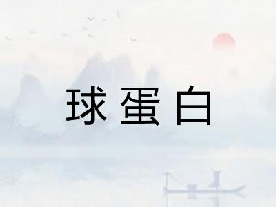 球蛋白