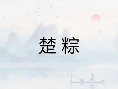 楚粽