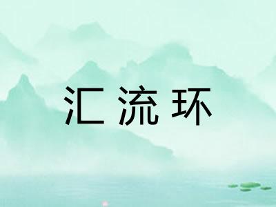 汇流环