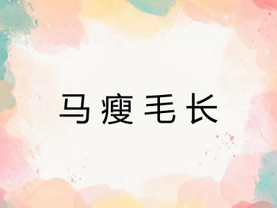 马瘦毛长