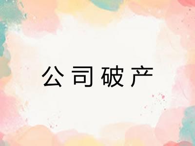 公司破产