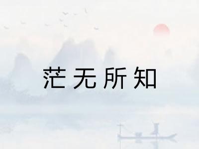 茫无所知