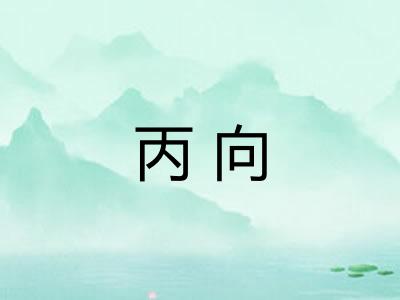 丙向