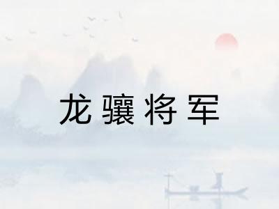 龙骧将军