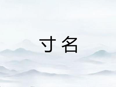 寸名