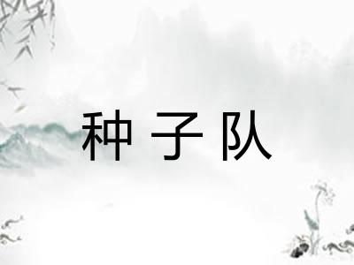 种子队