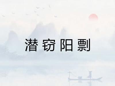 潜窃阳剽