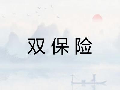 双保险