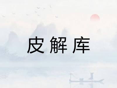 皮解库