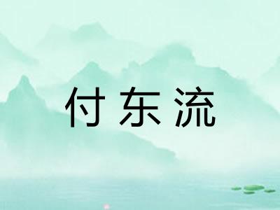 付东流