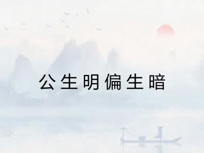 公生明偏生暗