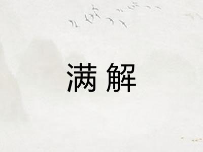 满解