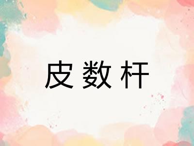 皮数杆