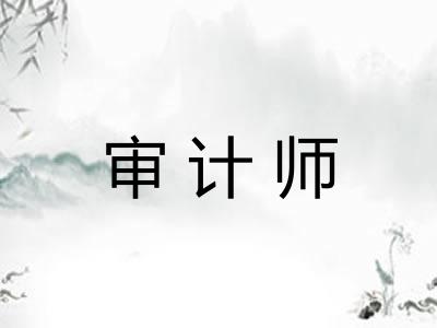 审计师