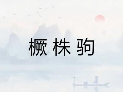 橛株驹