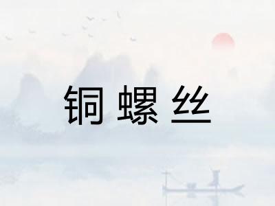 铜螺丝