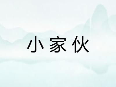 小家伙