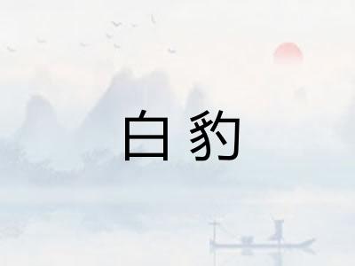 白豹