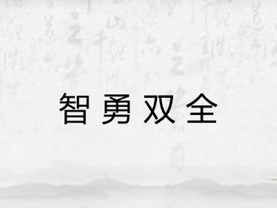 智勇双全