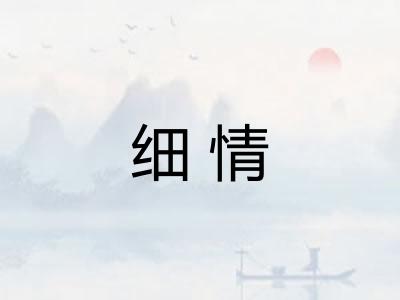 细情