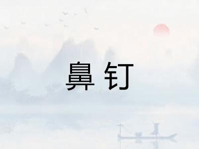 鼻钉