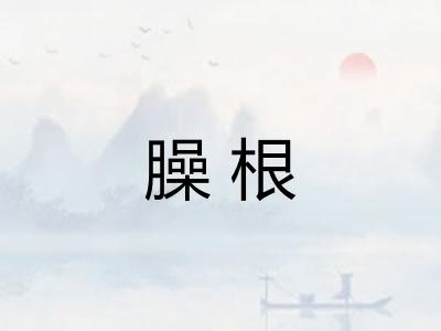 臊根