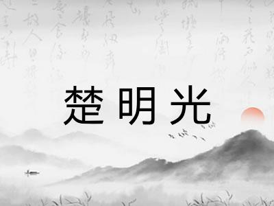 楚明光