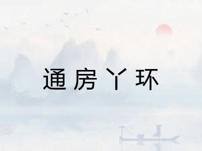 通房丫环