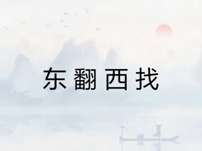 东翻西找