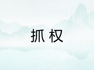 抓权