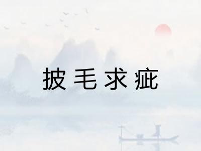 披毛求疵