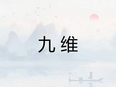 九维