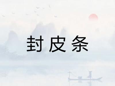 封皮条