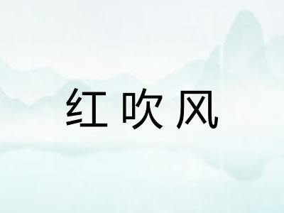 红吹风