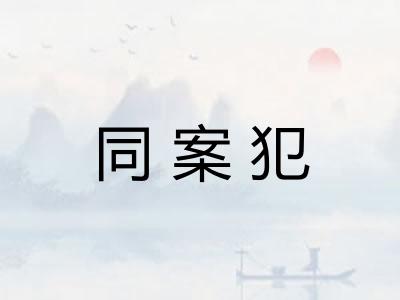 同案犯