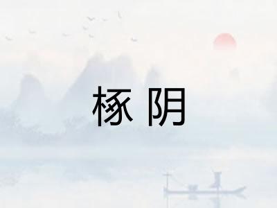 椓阴