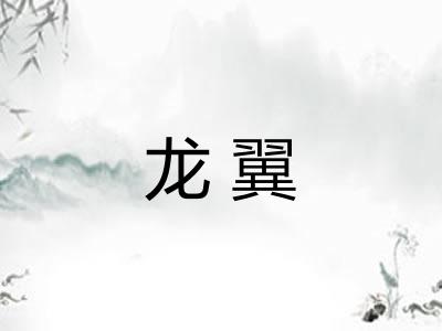 龙翼