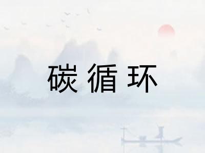 碳循环